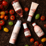 Premium Tomato Whitening Emulsion